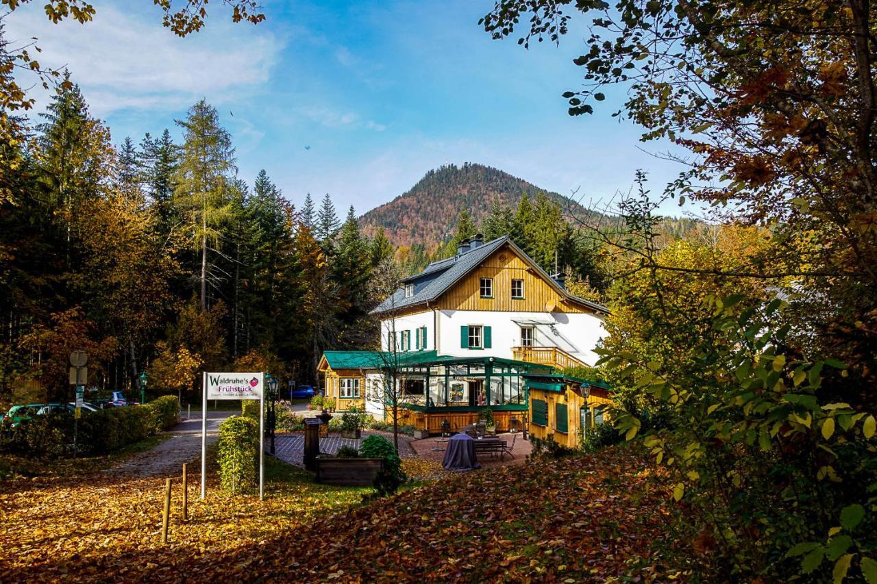 Waldruhe - Bett, Fruehstueck & Ein Laecheln Bed & Breakfast บาดเอาส์ซี ภายนอก รูปภาพ